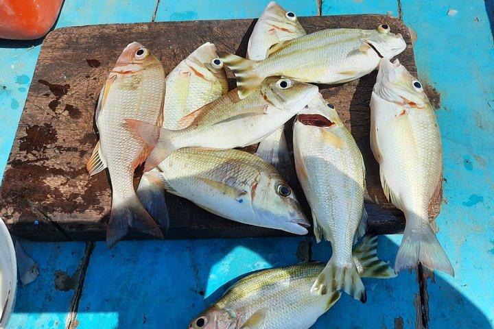 Excursão de um dia de pesca de barco privado de Koh Samui