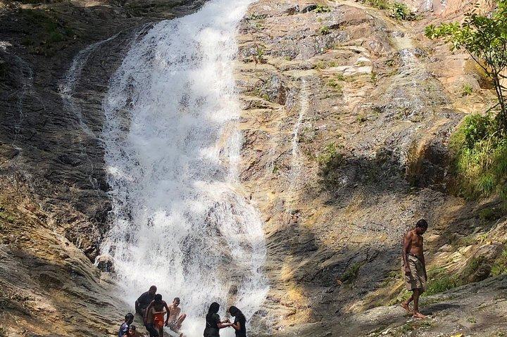 Tour di 2 giorni a Cameron Highlands, Batu Caves e Kuala Selangor Fireflies