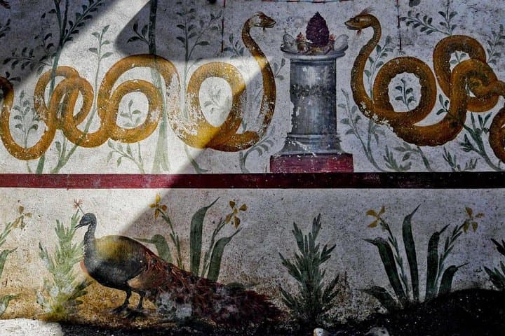 Pompeii Tour from Naples