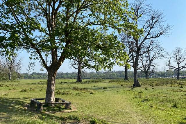 Chitwan