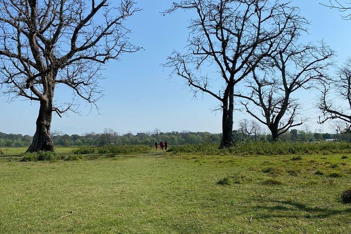 Naturspaziergang in Chitwan Jungle Safari mit Guide