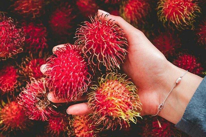 Tour gastronomico Sri Lanka (10 N / 11 D)