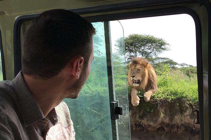 2日間のサファリ-タランギーレとンゴロンゴロクレーター