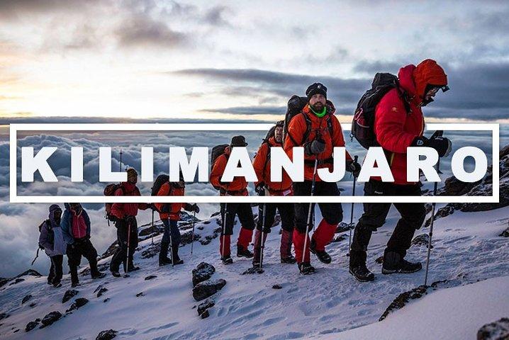 Kilimanjaro dagwandeling.