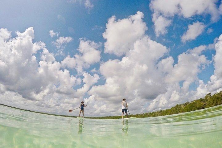 Lagune Paddleboarding Tour in Tulum