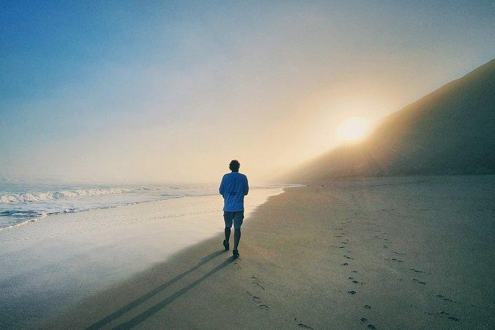 Explore a Garden Route - 4 dias