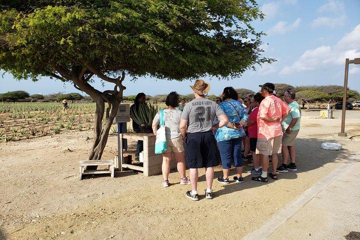 Visite privée : Visite essentielle d'Aruba