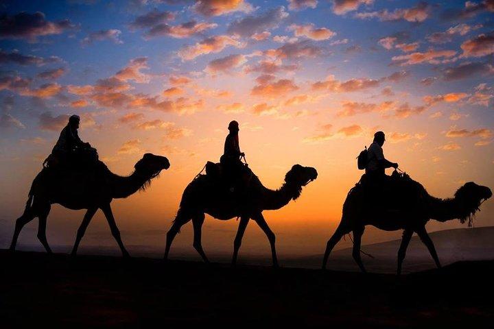 Privat Camel Sunset Ride Experience i Merzouga Dunes