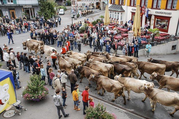 Tour di Appenzello e Liechtenstein da Zurigo