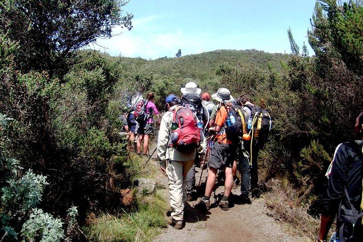 Berget Kilimanjaro 6 dagars vandring - Marangu-rutten