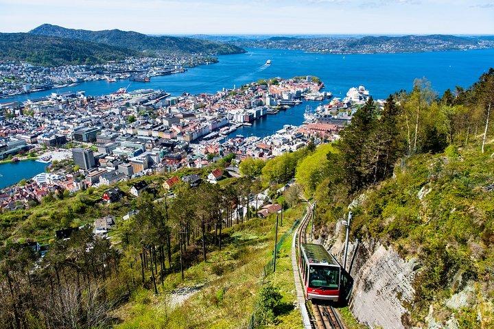Passeio particular de carro em Bergen com degustação de comida local