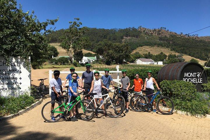 Ciclo di Franschhoek ed esperienza di degustazione 4 ore (condiviso)