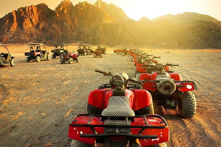 Safari in Luxor