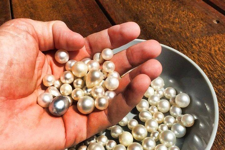 Wildlife, Rock Arts & Australian Pearls in a Day (privétour door Sydney)
