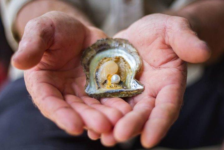 Wildlife, Rock Arts & Australian Pearls in a Day (privétour door Sydney)