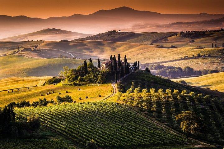Livourne Port ShorExcursion: Siena San Gimignano Lunch&WineTasting