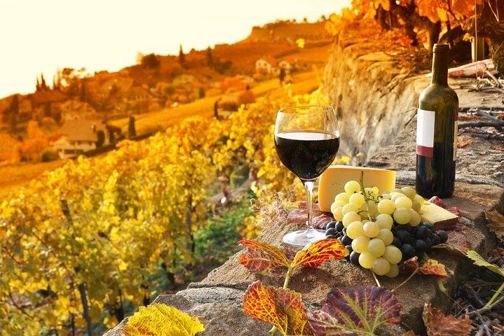 Montepulciano og Pienza Toscana Wine & Cheese Heldag fra Firenze