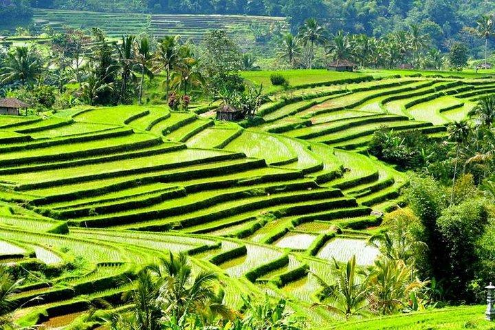 Full-Day Private Cultural Bali Tour + Balinese Driver