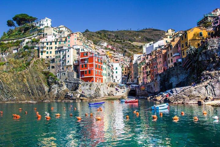 Upptäck magin i Cinque Terre: Privat dagstur från Florens