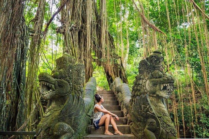 Bali Sightseeing Tours en Tegenungan Waterfall
