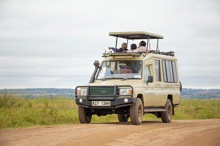 Visite guidée privée d'une demi-journée dans le parc national de Nairobi