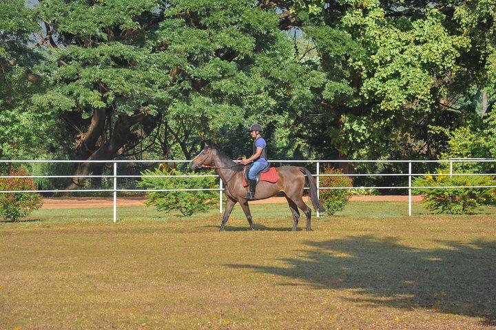 Equitazione per principianti da Dambulla