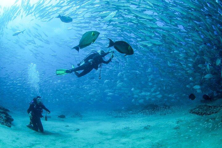 Cabo Pulmo 2 Tank Certified Dive with Lunch