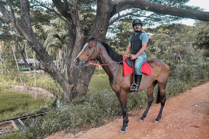 Experiência de passeio a cavalo em Dambulla