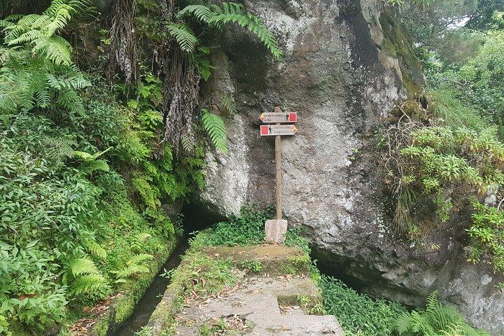 Paseo privado guiado Levada Castelejo