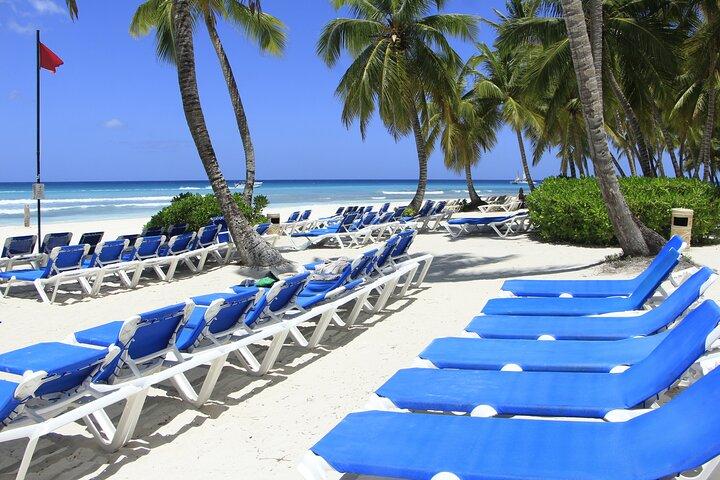 Saona Island Private Boat Tour com almoço e bebidas