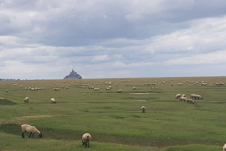 Privé dagtocht naar Mont Saint-Michel vanuit Saint-Malo met lokale chauffeur-gids