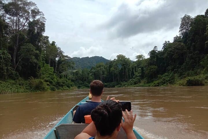 Taman Negara National Park Trekking Day Tour (SIC - Join In Tour)