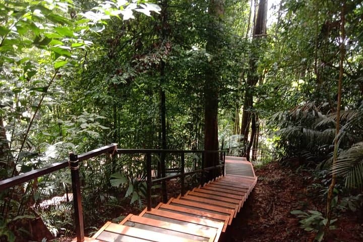 Taman Negara National Park Trekking Day Tour (SIC - Join In Tour)