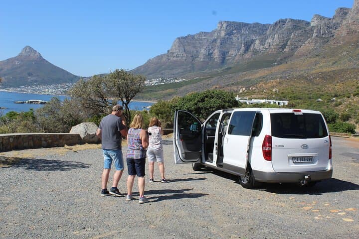 Private Visit To Hermanus Whale Watching Penguins And Winery + All fees included