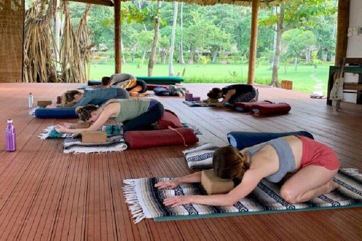 yoga klasse - Vinyasa Flow (wellness behandlinger Sri Lanka)