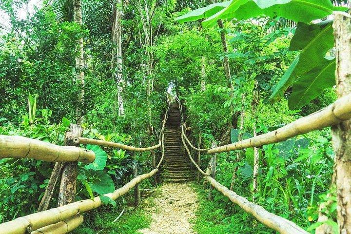 Mayfeild Falls privéexcursie vanuit Montego Bay