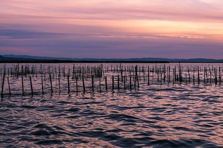 Albufera Natur- & Bootstour ab Valencia (kleine Gruppe)