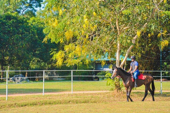 Equitación para profesionales de Habarana