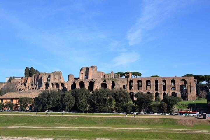 Rome In Style Chauffeured Tour: Colosseum & main sights + Lunch