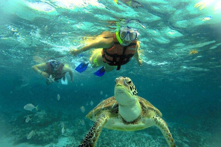 Zwem met schildpadden en ontdek de geweldige Tulum Ruins & Cenote