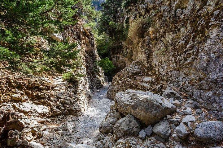 Fra Chania: Hoteller i nærheden af Imbros Gorge and Sfakia Experience Hike & Swim