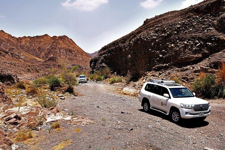 Promenade privée en 4x4 dans le désert, visite de la piscine Wadi Shawaka avec boîte à lunch