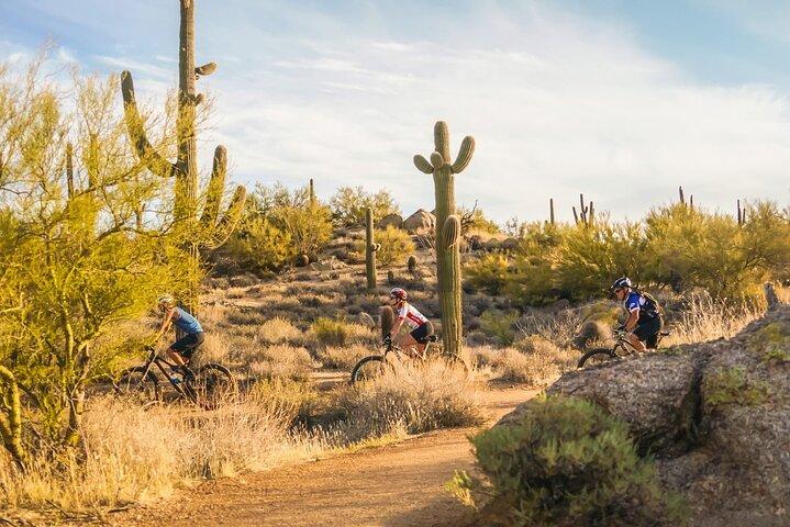 Sonoran Desert Guided Mountain Bike Tour