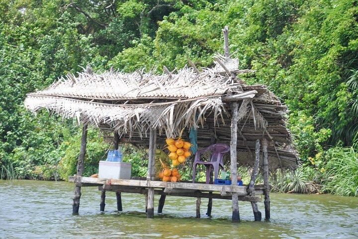 Stadstour Bentota vanuit Unawatuna
