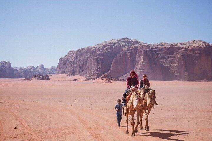 Arabian Horse / Camel Riding; Visita guidata speciale privata