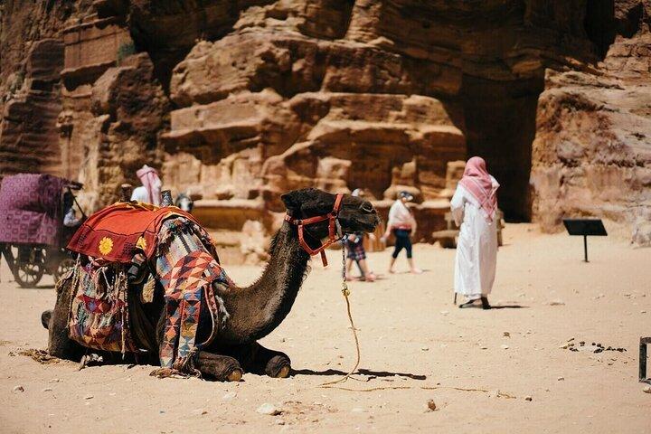 Arabian Horse / Camel Riding; Visita guidata speciale privata