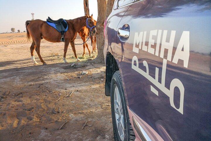 Private 4x4 Mleiha Wüstensafari Reiten mit Museumsbesuch