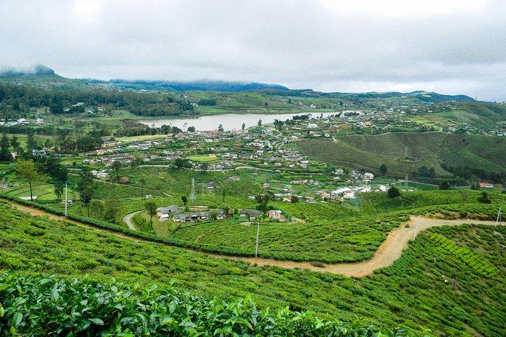 Escursione a Single Tree Hill da Nuwara Eliya