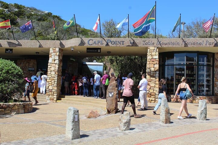 Cape of Good Hope Penguins From Cape Town Excl Entry Fees Tour