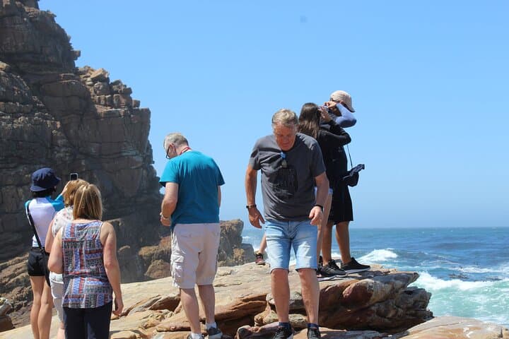 Cape of Good Hope Penguins From Cape Town Excl Entry Fees Tour